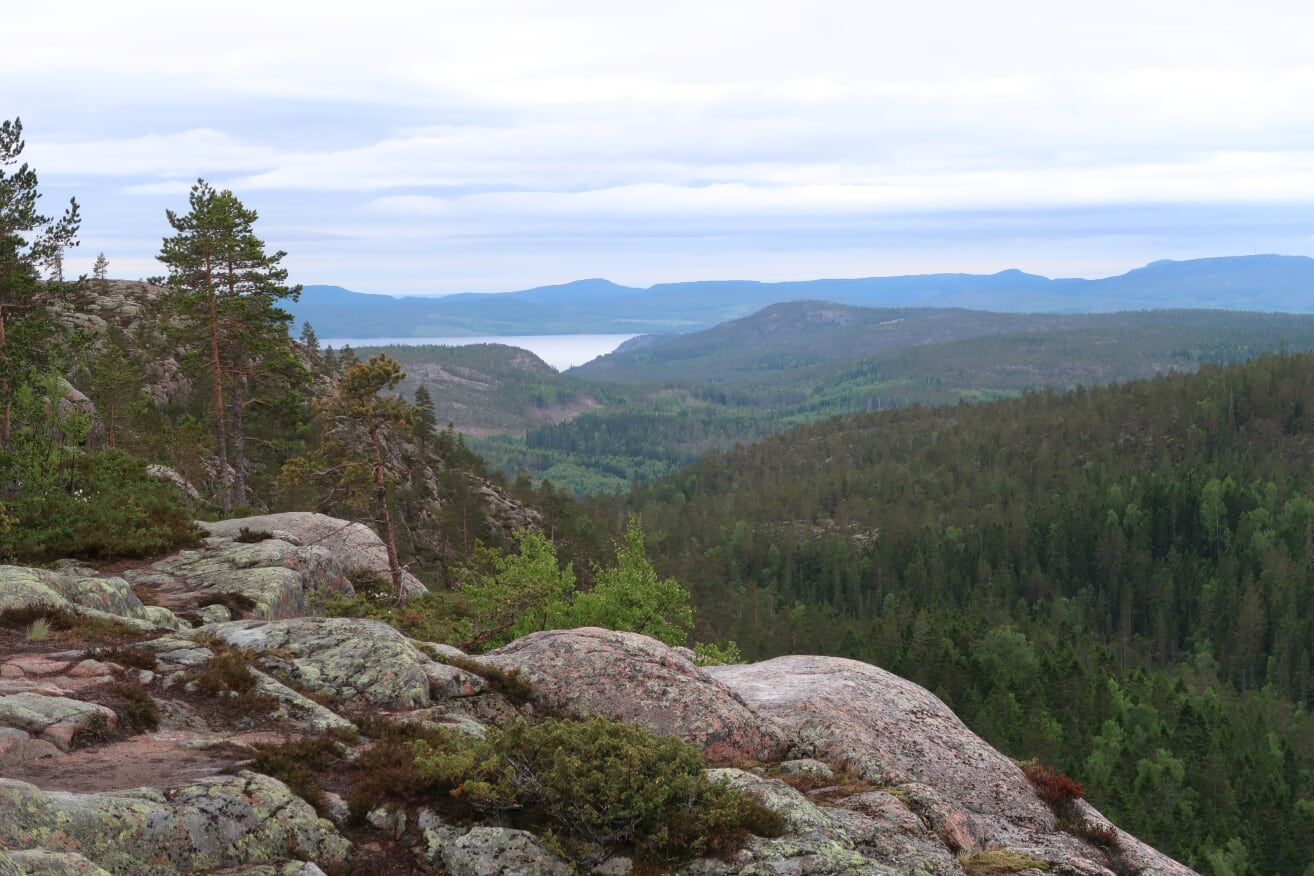 The High Coast. Photo: Juha Oksanen