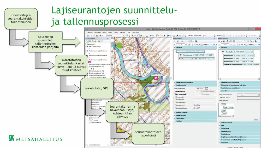 Kaaviokuva: lajiseurantojen suunnittelu- ja talletusprosessi.