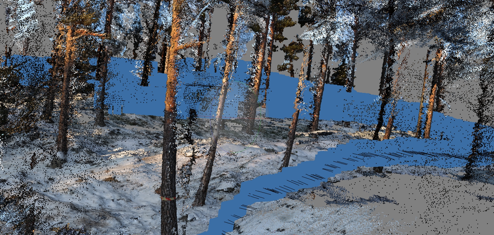 point cloud picture of a forest