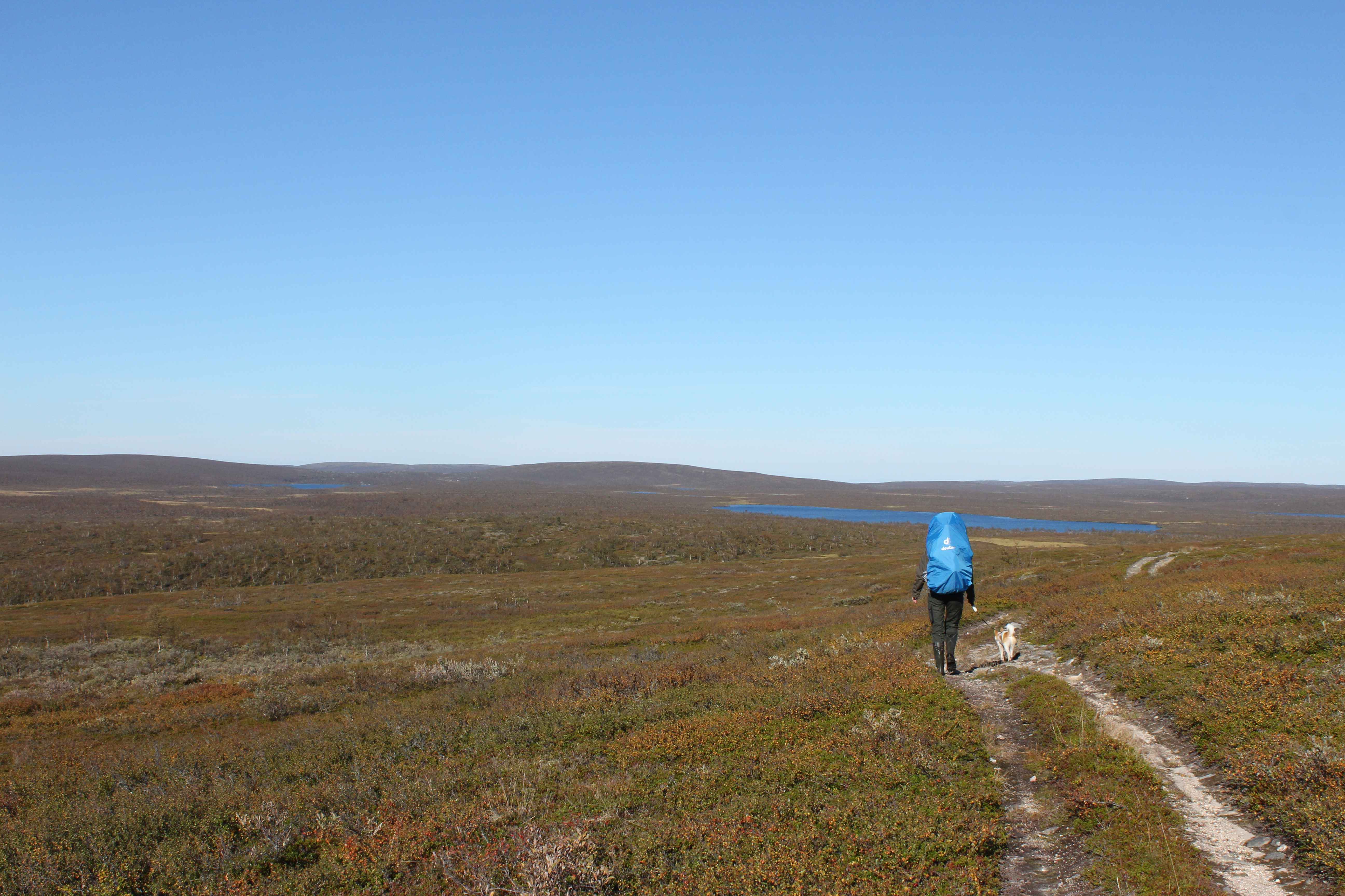 Tarvantovaaran erämaa