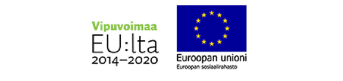 Logot, Euroopan sosiaalirahasto, Vipuvoimaa EU:sta