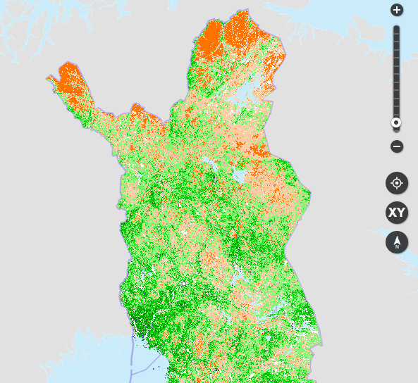 Esimerkki Paikkatietoikkunaan lisätystä Luonnonvarakeskuksen koivun tilavuuksia koskettavasta karttatasosta.