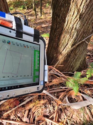 Measuring Eucalyptus with backpack laser scanner.