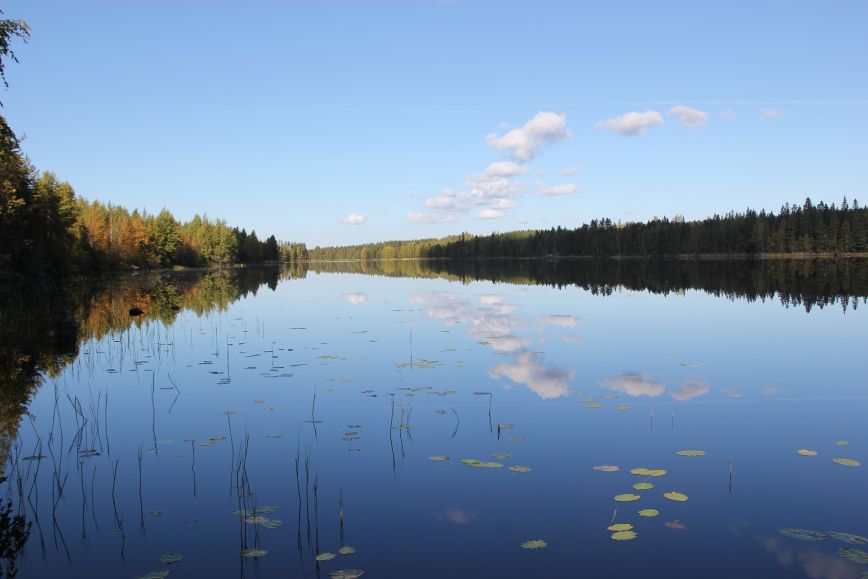 Suomalainen järvirantamaisema.