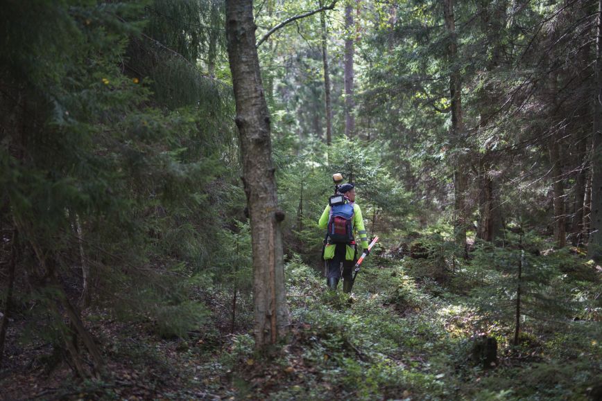 Mies metsän keskellä. Man i skogen.