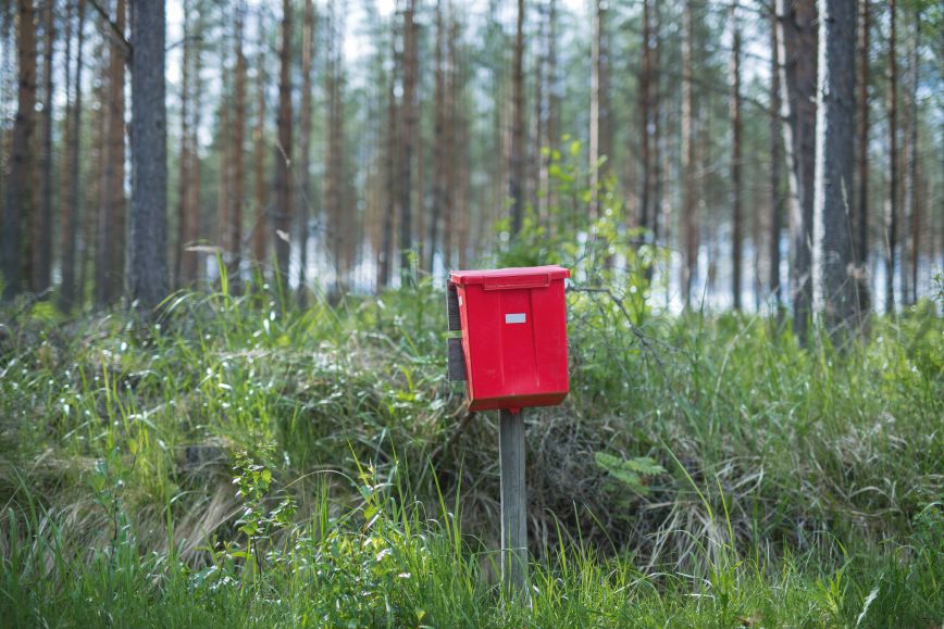 Punainen postilaatikko metsäisessä maastossa. 