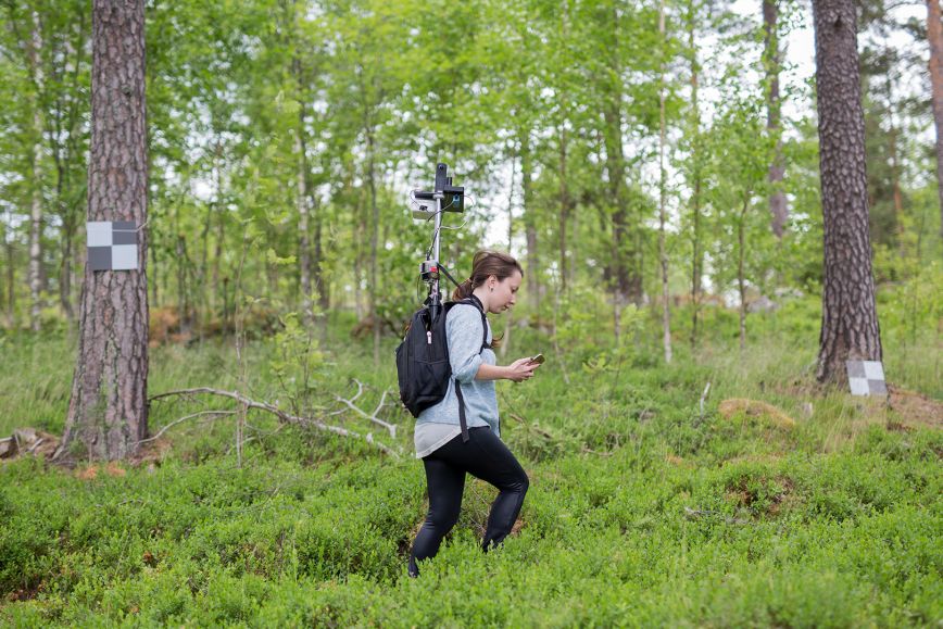 Employee in a forest.