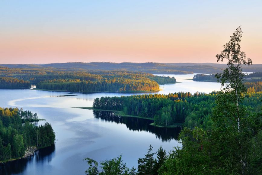 Metsä ja järvi