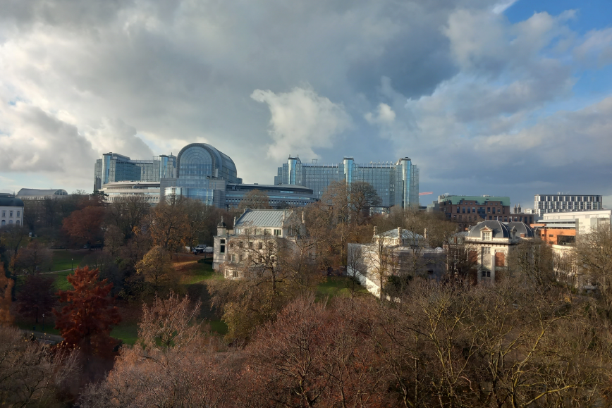 A landscape photo with trees in autumn colours in the front, old buildings behind them, and the EU Parliament and other EU buildings at the back. 