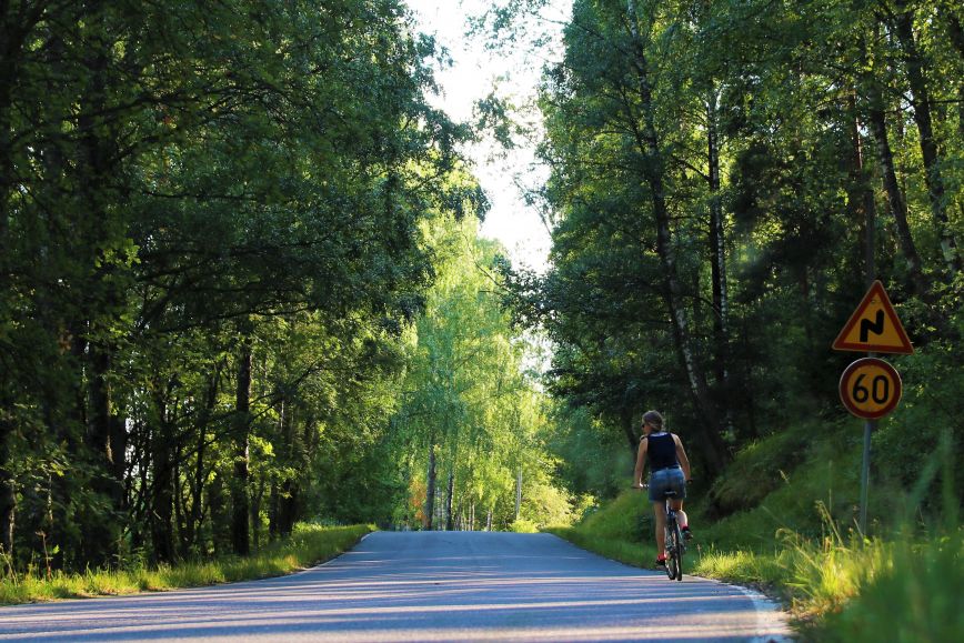 Pyöräilijä pyöräilee Tammireittien varrella kauniissa kesäsäässä.