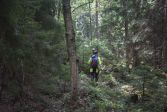 Mies metsän keskellä. Man i skogen.