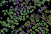 The image shows a point cloud of a forest produced by a multispectral laser scanner developed by the Finnish Geospatial Research Institute FGI.