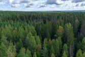 Laserskannande observationsområdet