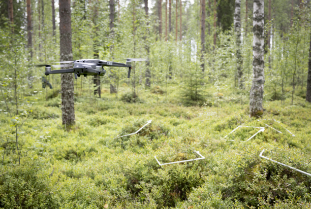 Drone flying inside forest