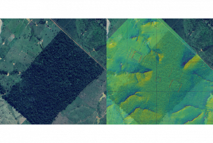 Vänster: En geoglyf synlig på satellitbilden i en röjd skogsglänta. Höger: Geoglyfer som framträder i en lutningsskuggad ytmodell framställd från ett laserpunktsmoln från samma område.